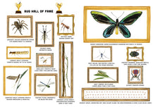 Load image into Gallery viewer, Bugs: A Skittery, Jittery History