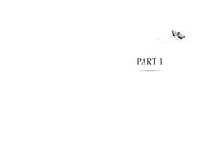 Load image into Gallery viewer, The Shadow Moth