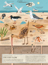 Load image into Gallery viewer, By the Sea : Life Along the Coast