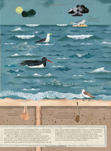 Load image into Gallery viewer, By the Sea : Life Along the Coast