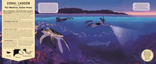 Load image into Gallery viewer, Mysteries of the Ocean