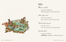 Load image into Gallery viewer, Wisdom of the Woods : 40 Poems to Treasure