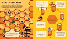 Load image into Gallery viewer, STEMville: The Bee Connection