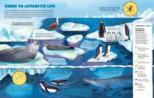 Load image into Gallery viewer, Scientists in the Wild: Antarctica