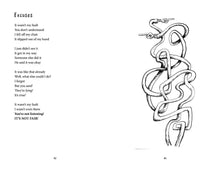 Load image into Gallery viewer, Zooming the Zoo