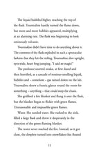 Load image into Gallery viewer, Tourmaline and the Museum of Marvels