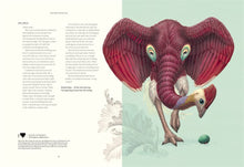 Load image into Gallery viewer, Terra Ultima