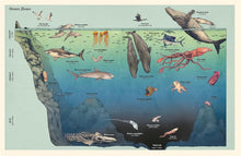 Load image into Gallery viewer, Oceanarium (Junior Edition)