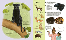 Load image into Gallery viewer, Meet the Cats