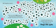 Load image into Gallery viewer, Life Cycle Stories: Frog