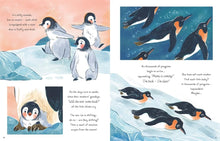 Load image into Gallery viewer, 5 Minute Ocean Stories : True Tales from the Sea