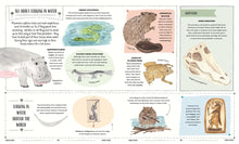 Load image into Gallery viewer, Wild : A Child's Guide to the Animal Kingdom