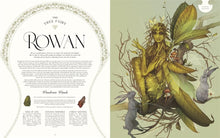 Load image into Gallery viewer, Faedom: Enter the World of Fairies