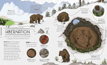 Load image into Gallery viewer, Nature Explained