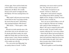 Load image into Gallery viewer, Dreamweavers: Roar of the Hungry Beast