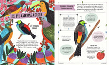 Load image into Gallery viewer, Fly : A Child's Guide to Birds and Where to Spot Them