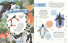 Load image into Gallery viewer, Wild : A Child's Guide to the Animal Kingdom