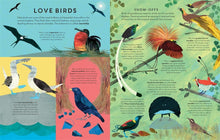 Load image into Gallery viewer, There are Birds Everywhere