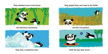 Load image into Gallery viewer, Panda and Penguin Find a Thing