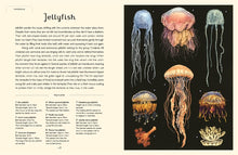 Load image into Gallery viewer, Oceanarium (Junior Edition)