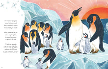 Load image into Gallery viewer, 5 Minute Ocean Stories : True Tales from the Sea