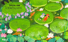 Load image into Gallery viewer, How to Grow a Garden