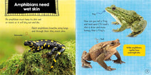 Load image into Gallery viewer, In the Animal Kingdom: Amphibians Live on Land and in Water