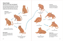 Load image into Gallery viewer, Why do Cats Meow?