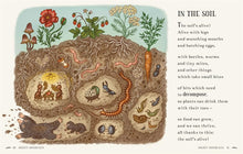 Load image into Gallery viewer, Wisdom of the Woods : 40 Poems to Treasure