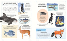 Load image into Gallery viewer, Wild : A Child's Guide to the Animal Kingdom