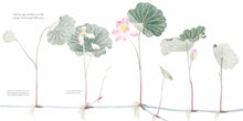Load image into Gallery viewer, The Water Flower : The Journey of a Lotus Seed