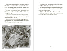 Load image into Gallery viewer, A Sequence of Cosmic Accidents