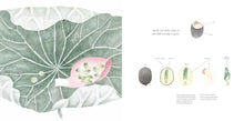 Load image into Gallery viewer, The Water Flower : The Journey of a Lotus Seed