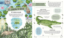 Load image into Gallery viewer, Wild : A Child's Guide to the Animal Kingdom