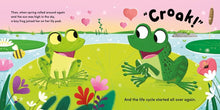 Load image into Gallery viewer, Life Cycle Stories: Frog