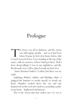 Load image into Gallery viewer, The Island at the Edge of Night