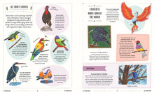 Load image into Gallery viewer, Fly : A Child's Guide to Birds and Where to Spot Them