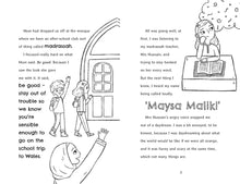 Load image into Gallery viewer, Meet the Maliks - Twin Detectives: The Cookie Culprit #1