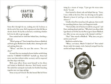 Load image into Gallery viewer, A Sequence of Cosmic Accidents