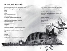 Load image into Gallery viewer, Welcome to Wild Town