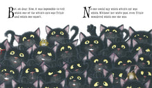 Load image into Gallery viewer, Trixie the Witch's Cat