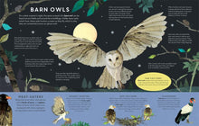 Load image into Gallery viewer, There are Birds Everywhere