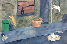 Load image into Gallery viewer, Why do Cats Meow?