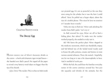 Load image into Gallery viewer, Turtle Moon