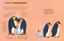 Load image into Gallery viewer, 5 Minute Ocean Stories : True Tales from the Sea