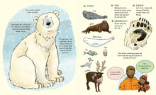 Load image into Gallery viewer, Meet the Bears