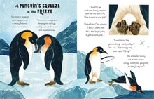 Load image into Gallery viewer, 5 Minute Ocean Stories : True Tales from the Sea