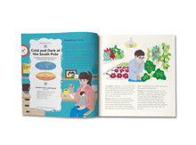 Load image into Gallery viewer, Solstice