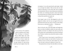 Load image into Gallery viewer, Juniper’s Christmas