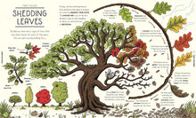 Load image into Gallery viewer, Nature Explained